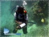 Underwater Lenght Estimation