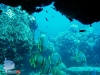 Small Cave