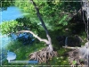 The Jellyfish Lake