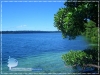 The Jellyfish Lake