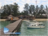 The Jetty
