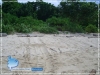 Turtle Track