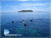 Reef Assessment Team