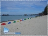 Fish Lenght Estimation Models