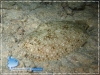 20081029_Kofiau_0019_600.jpg