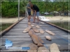 Wooden Fish