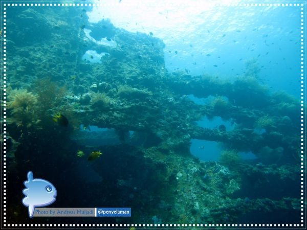 USAT Liberty Wreck