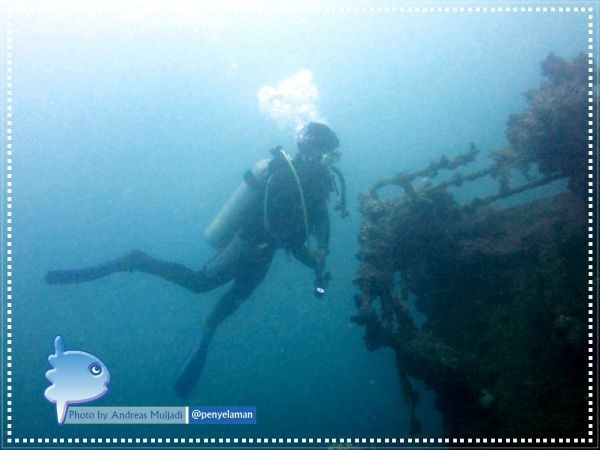 Diver on Indonor