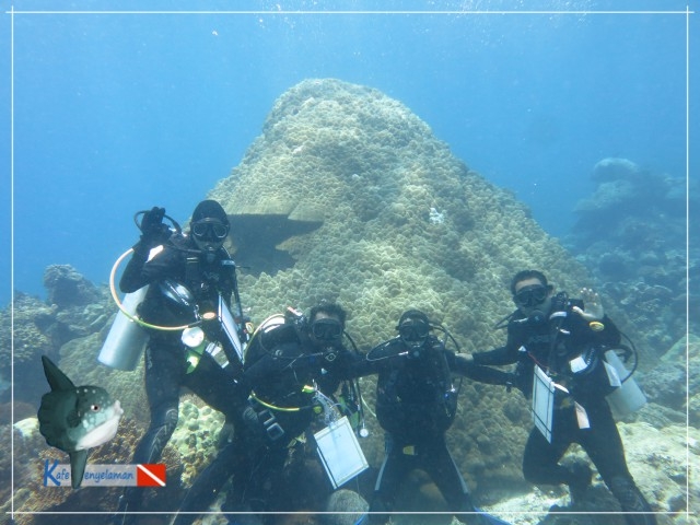 Divers take safety stop