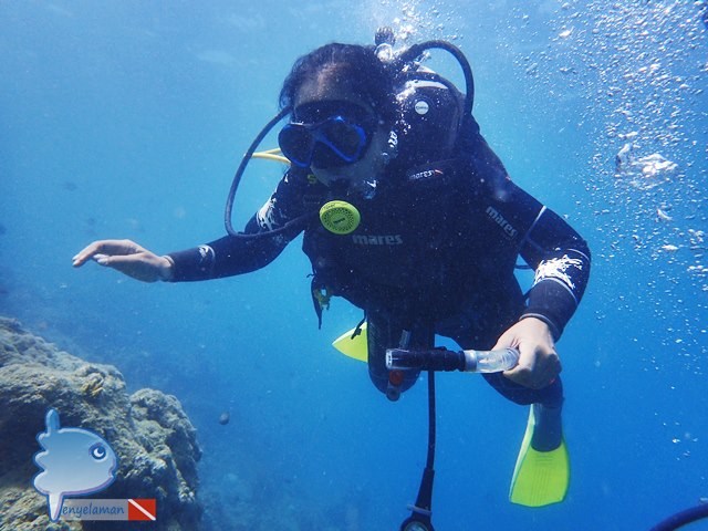 Diver
