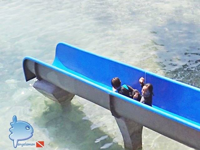 Waterbom