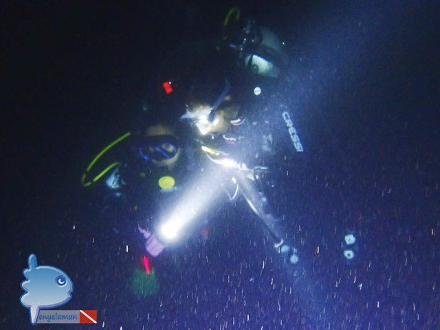 Light at Reef