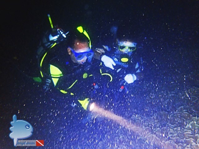 Explore the reef at night