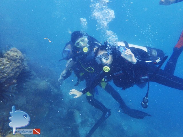 Enjoy Underwater World
