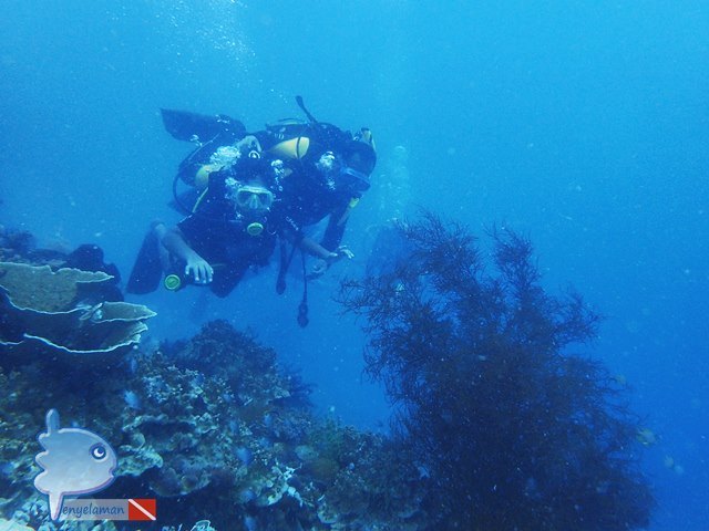 Discovering Underwater