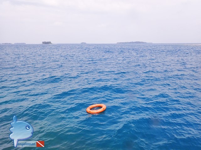 Dive Float