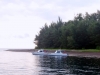 Speedboat Visitors