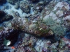 World War II Bomb