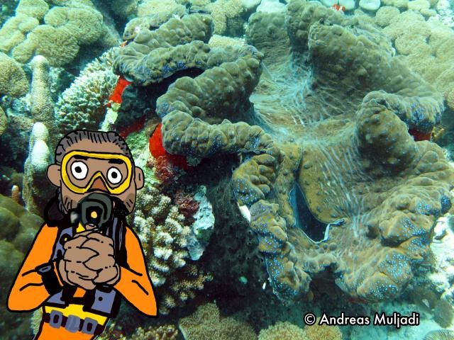 Isyarat Tangan - Kerang Kima (Giant Clam)