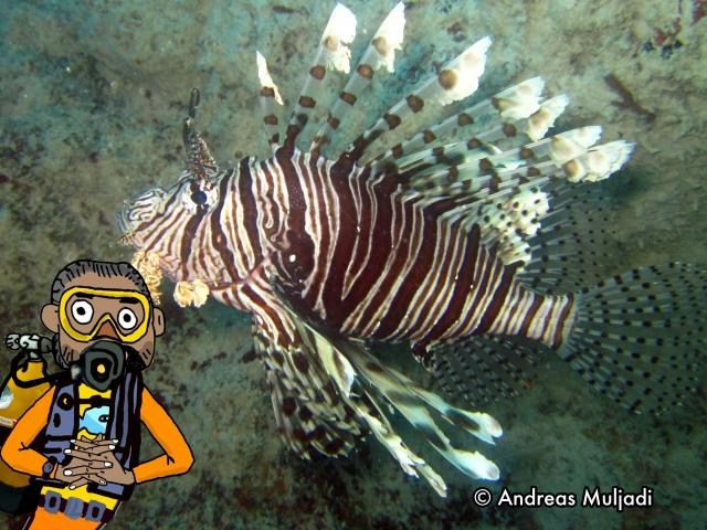 Isyarat Tangan - Ikan Lepu Ayam (Lionfish)