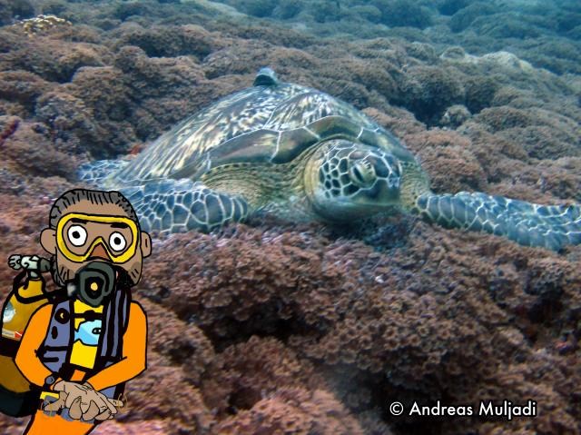 Isyarat Tangan - Penyu Laut  (Sea Turtle)