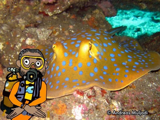 Isyarat Tangan - Ikan Pari (Stingray)