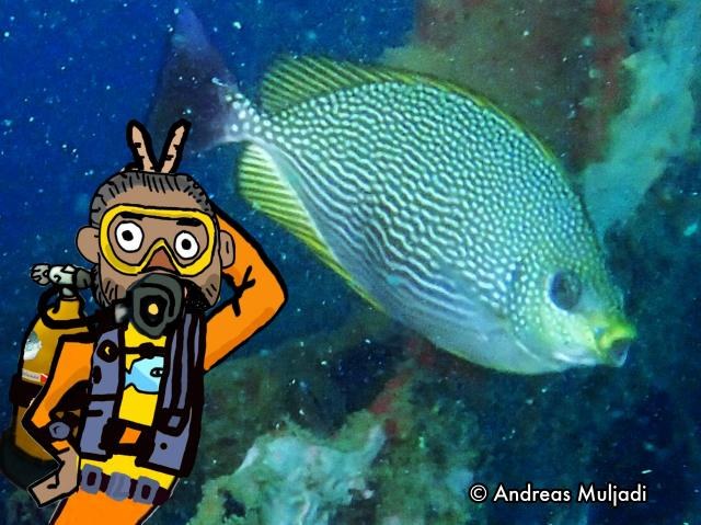 Isyarat Tangan - Ikan Beronang (Rabbitfish)