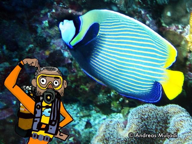 Isyarat Tangan - Ikan Bidadari (Angelfish)