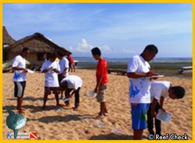 Ecodiver Course Seribu island