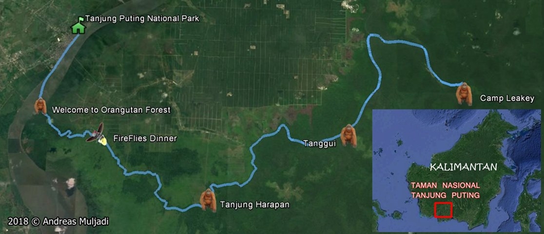 Tanjung Puting National Park