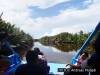 Menjelajah Sungai Sekonyer
