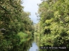 Beautiful Riverscape