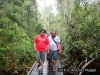 Wooden Bridge