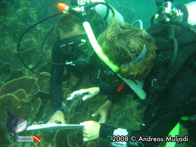 Fish observers are working on the reef