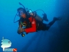 Diver