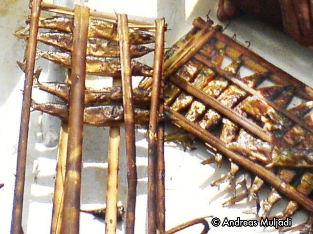 Ikan Roa asap teman makan siang