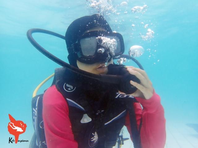 Regulator Recovery Practises