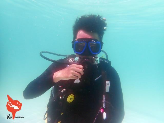 Bernafas di bawah air menggunakan scuba
