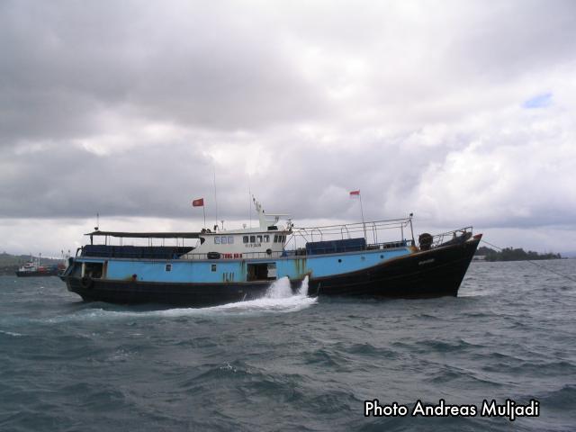 Kapal Penampung Mengumpulkan  Ikan Hidup dari Pulau-Pulau di Indonesia