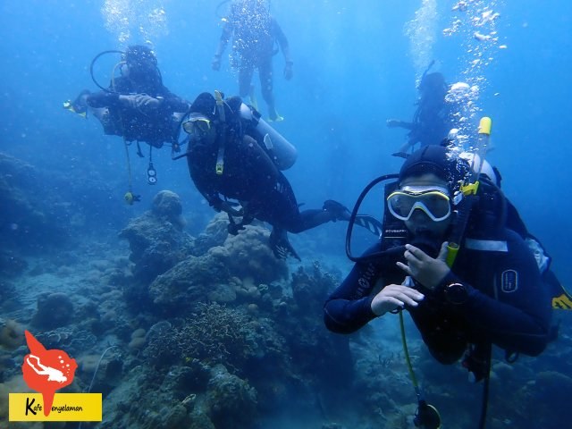 Exploring Underwater World
